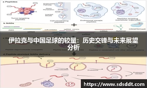 伊拉克与中国足球的较量：历史交锋与未来展望分析