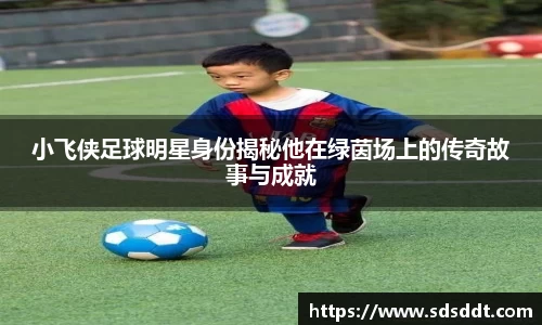 db电竞·(dbgame)官方网站